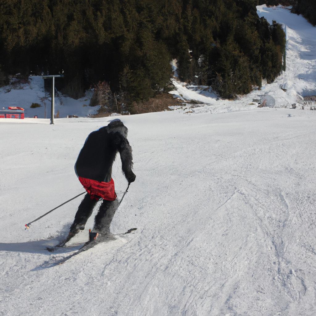 Person skiing on a slope